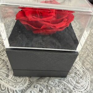 Forever rose Elegant Red Rose in Black Display Box